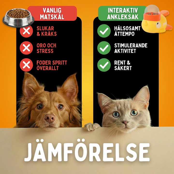 Duck - Mental träning med godisbelöning