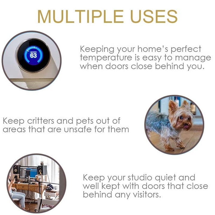 Multifunctionele veerpositionerende scharnierende deursluite